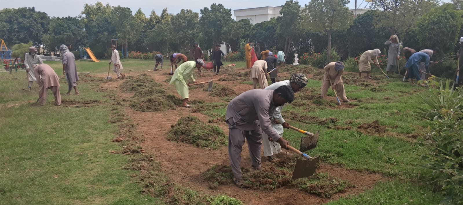 Lawn and garden restoration - transforming neglected garden